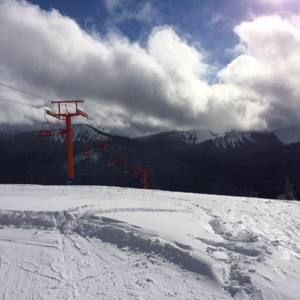 Meet your Posher, Kyler